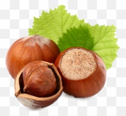 Nuts Nut Sticker - Maso Do Ciala Orzech Laskowy Emoji,Hazelnut Emoji
