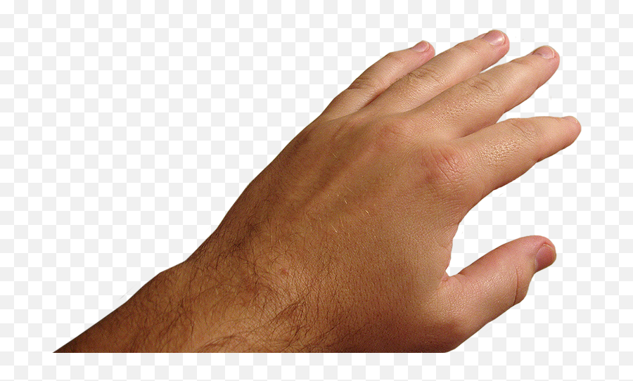 Boy Folding Hand Png U0026 Free Boy Folding Handpng Transparent - Real Hand Png Emoji,Folded Hands Emoji