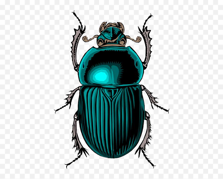 Free Photo Stink Feces Shit Funny Insects Poo Flies - Max Pixel Ancient Egyptian Scarab Beetle Clipart Emoji,Flies Emoji