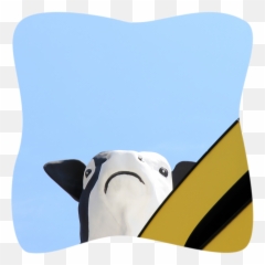 Services Overview - Culture Shift Agency Cow Emoji,Cow Showing Emotion