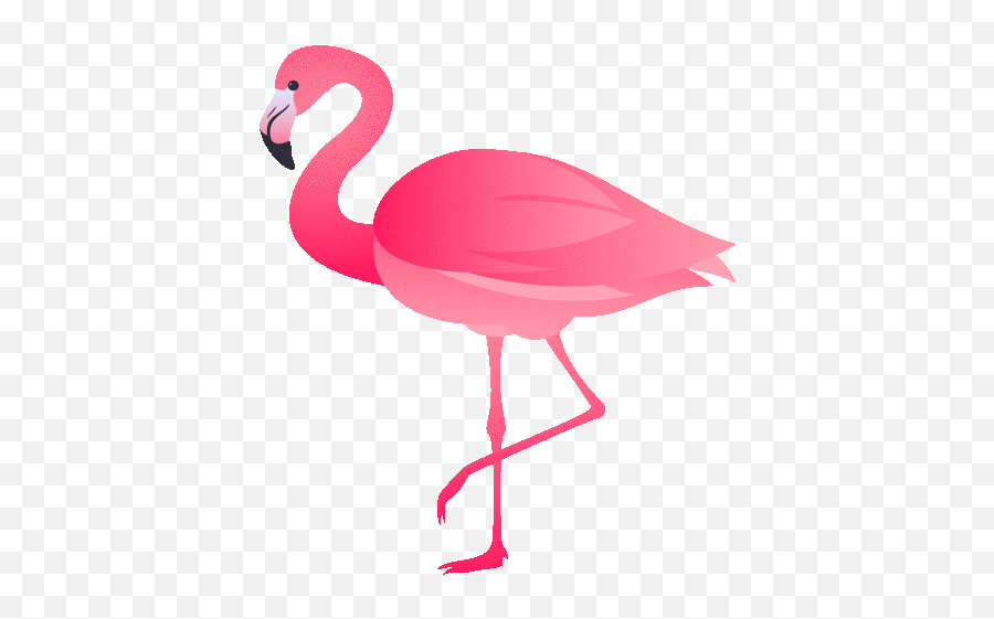 Flamingo Nature Gif - Copy Paste Flamingo Emoji,Flamingo Emoji