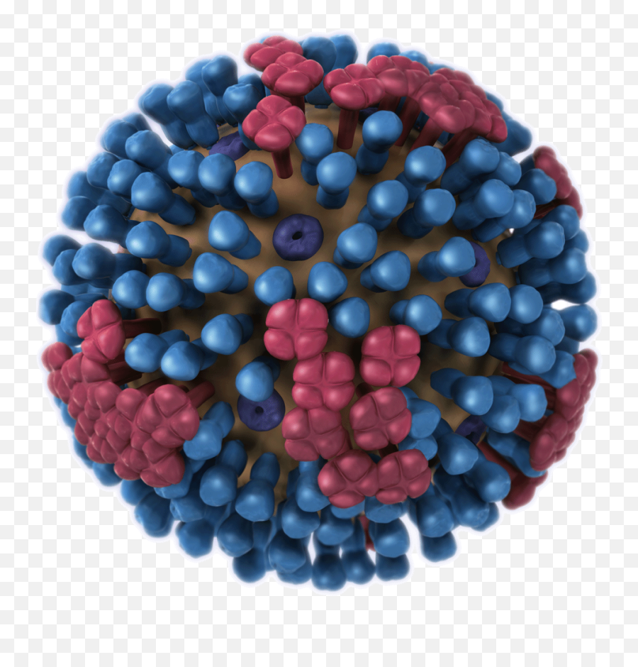 Columbia County Had Early Flu Round But Worst Of Season - Does The Influenza Virus Look Like Emoji,Emoticon For Inpatient