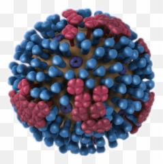 Columbia County Had Early Flu Round But Worst Of Season - Does The Influenza Virus Look Like Emoji,Emoticon For Inpatient