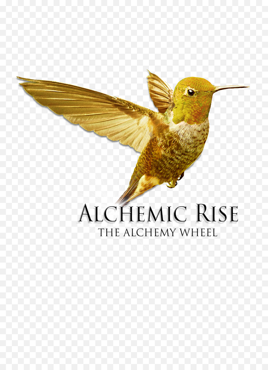 Energy Medicine Philadelphia Alchemic Rise - Bee Hummingbird Emoji,Emotion Code Discarnates