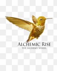 Energy Medicine Philadelphia Alchemic Rise - Bee Hummingbird Emoji,Emotion Code Discarnates