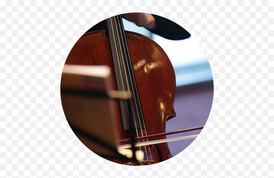 Violin Viola Cello Lessons In Auburn Emoji,Rock Sonfs Full Of Emotion With Violin