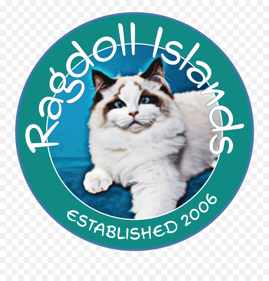 Ragdoll Islands Ragdoll Kittens Southwest Florida Emoji,Large Emotions Rag Doll