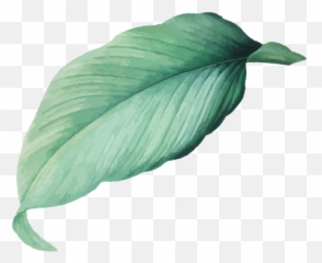 Our Ingredients - Bodhi Naturae Emoji,Giorno Emotion