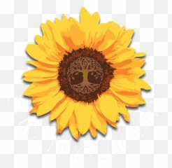 Musings U2013 Curating Lucidity Emoji,Equinox Emoji