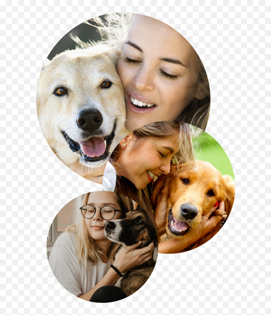 Do You Know How Dogs Say I Love You - Happy Emoji,Dogs Human Emotions