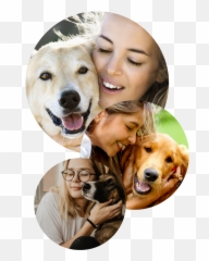 Do You Know How Dogs Say I Love You - Happy Emoji,Dogs Human Emotions
