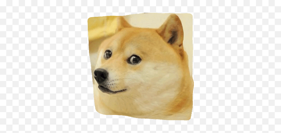 3d Doge With Transparent Background - Doge Gif Transparent Background Emoji,Glass Cage Of Emotions Gif Imgur