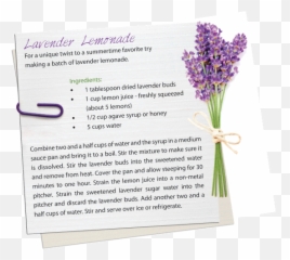 Login Username Password Remember Me - Horizontal Emoji,Pro Tan Sweet Emotion Ingredients Deionized Water