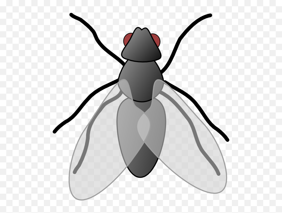 Housefly Cliparts Png Images - Clip Art Fly Emoji,Housefly Emoticon