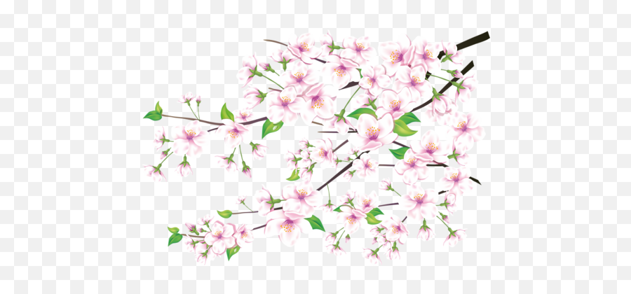 Branche Fleurie - Flores Y Pajaros Acuarella Emoji,Sakura Sakura Sweet Emotion