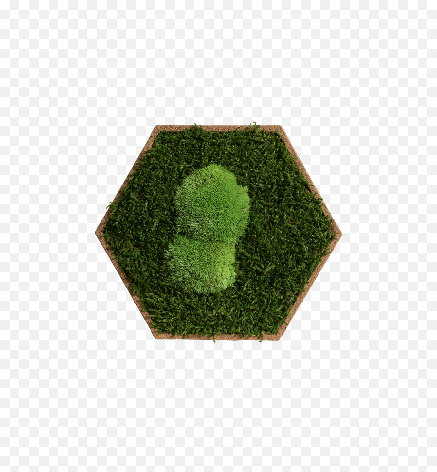 Moss Panels - Dot Emoji,Hexagon Human Emotions