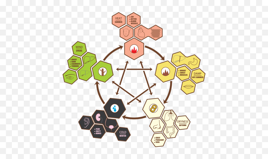 Five Elements - Five Elements Of Human Body Emoji,Elements Of Emotion