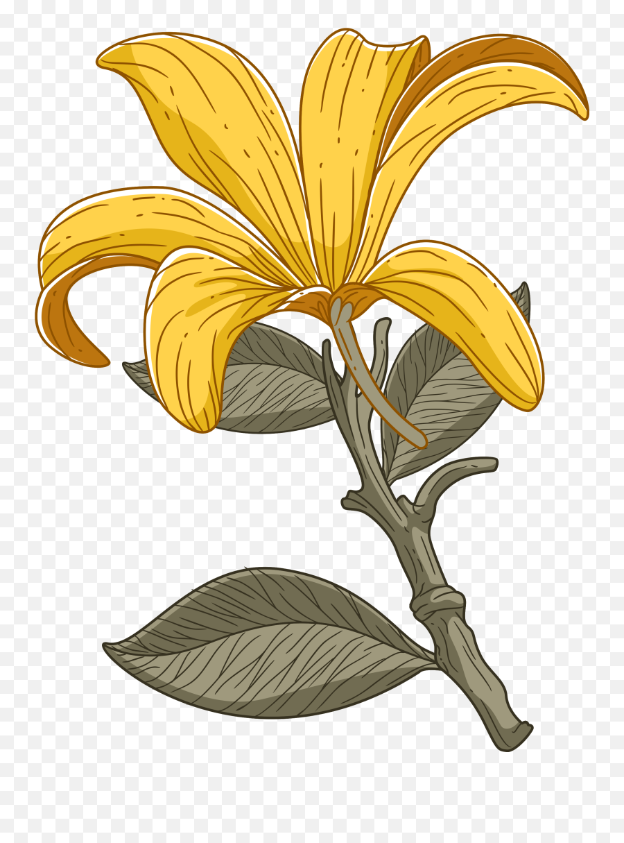 Botanical Flowers - Lily Emoji,Lily Flower Emoji