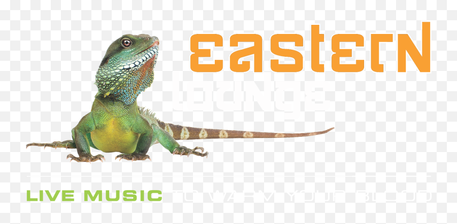 Eastern Lounge - Chinese Water Dragon Emoji,Leo Kottke Sweet Emotion