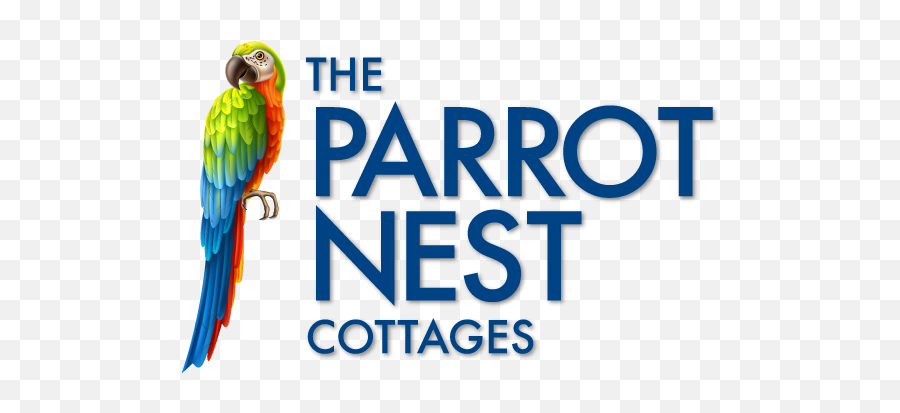 The Parrot Nest Cottages - Sanibel Florida Cottages Parrot Emoji,Parrot Emotion Signs