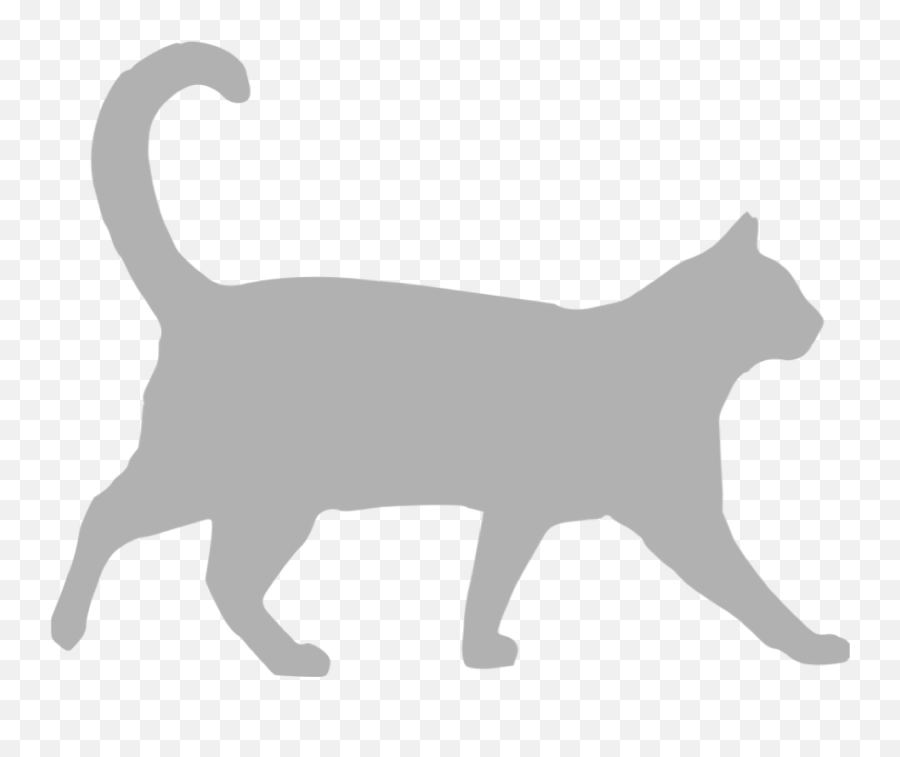 World Animal Road Accident Awareness Day 10th Oct - Blog Emoji,Animals That Represent Negative Emotions World Animal Road Accident Awareness Day 10th Oct - Blog Emoji,Animals That Represent Negative Emotions