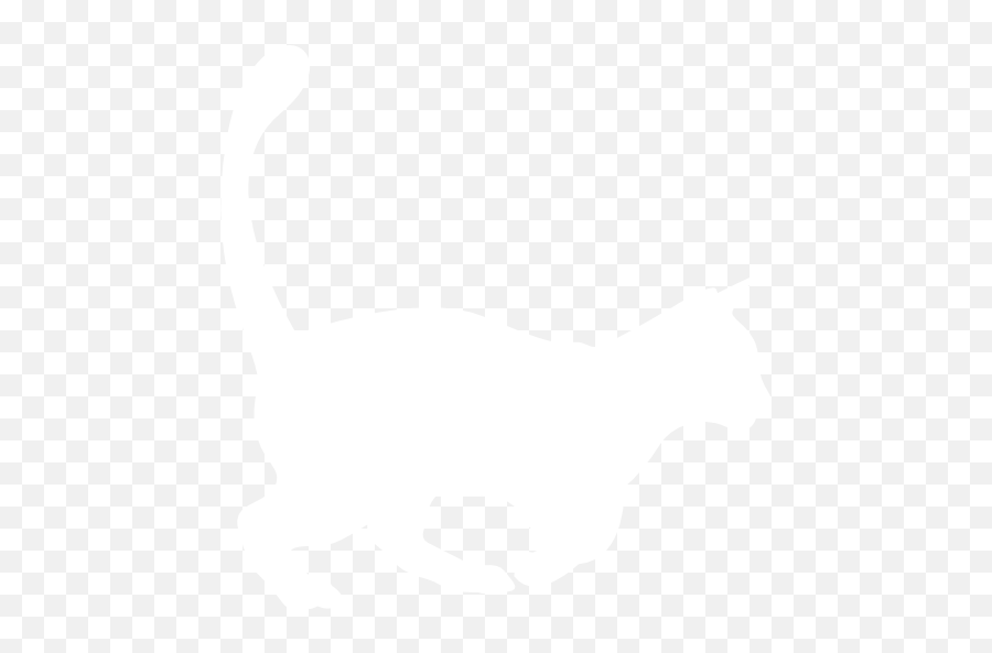 The Internet Has A Cat Meet Purrli The Online Cat Purr - Png Cat White Emoji,Cat Butt Emoji