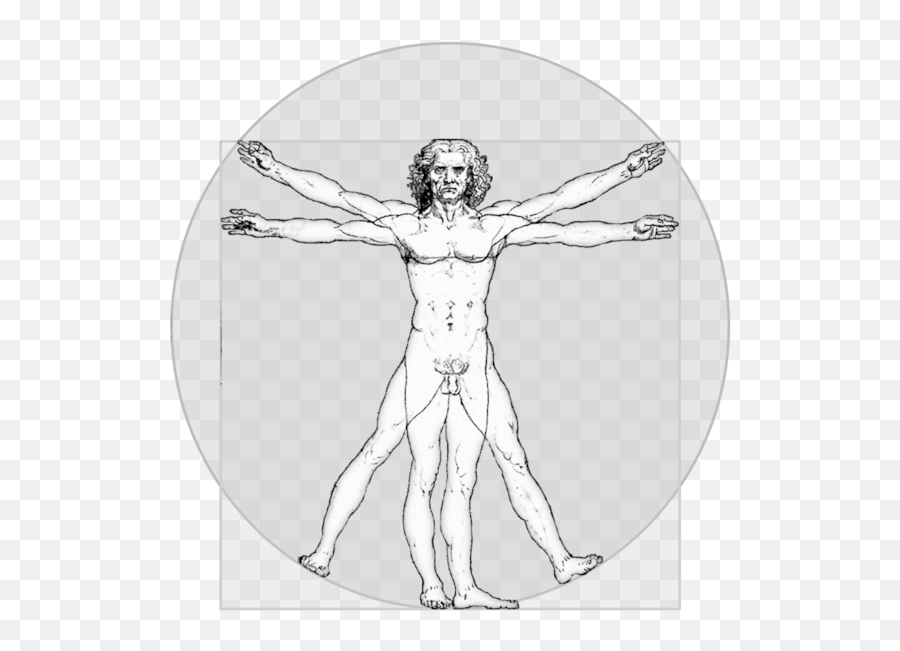 Glosario Pink Tank - Vitruvian Man Png Emoji,Emoticon Musculo