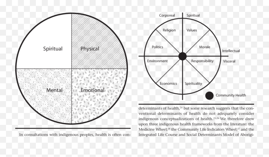 Community Life Indicators Wheel - Autocollant Conduite Accompagnée Emoji,Wheel Of Negative Emotion Faces Image