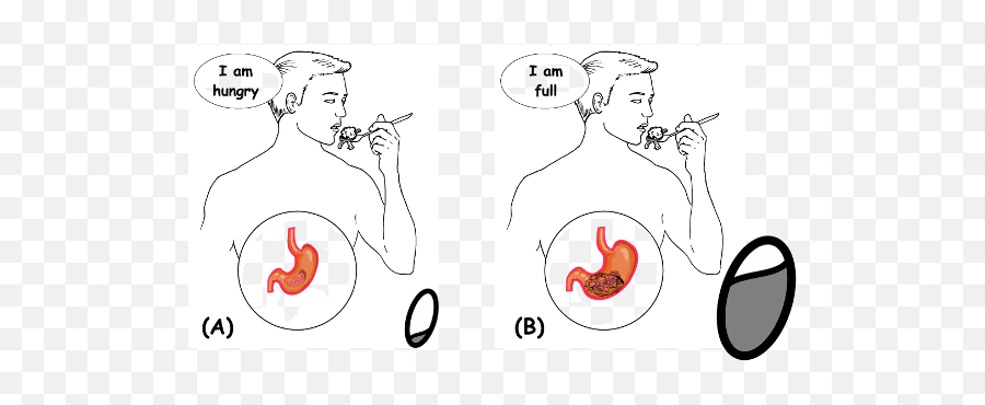 Donu0027t Aim For Weight Loss Stop Focusing On Bmi Aim For A - Language Emoji,Emojis About Mens Menstrualcycles