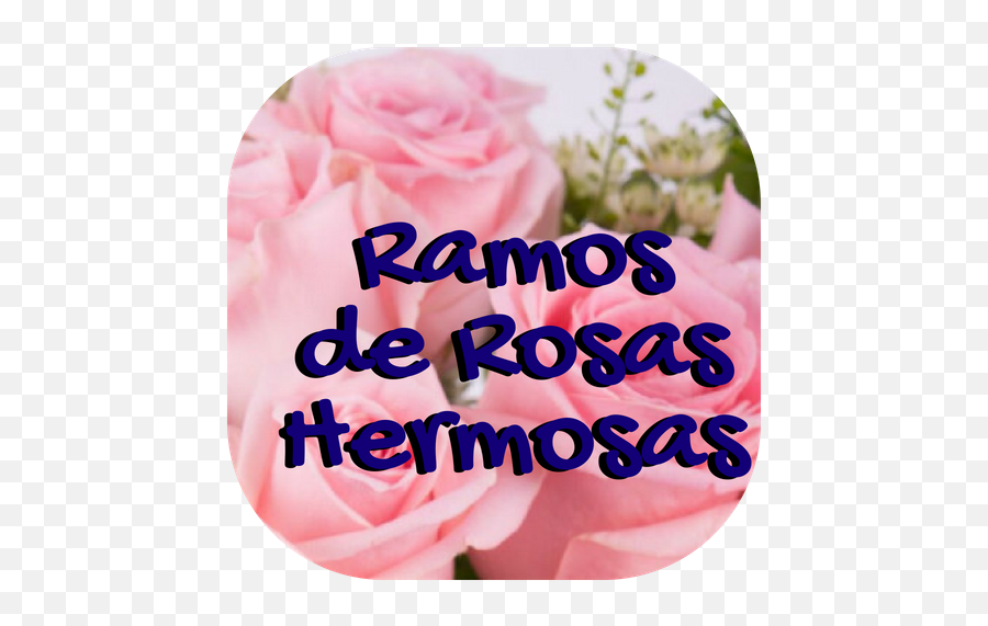 Rosas Hermosas - Ramos De Rosas Hermosos Emoji,Emoticon De Luto Para Facebook