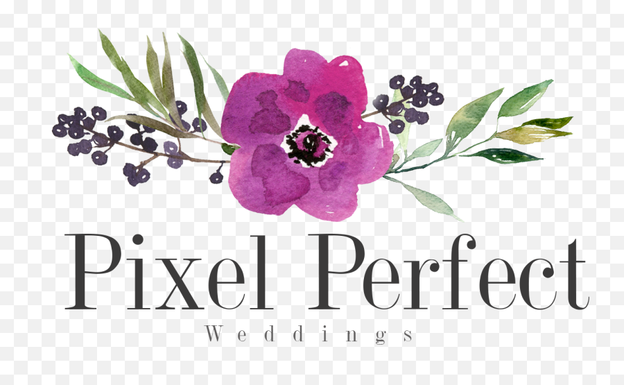 Pixel Perfect Weddings Wedding Photographers - The Knot Brooklin Photography Emoji,Pixel Emotions