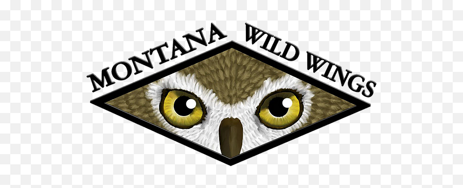 Montana Wild Wings Recovery Centerraptor Rehab And - Language Emoji,Bird Emoticon Thank You