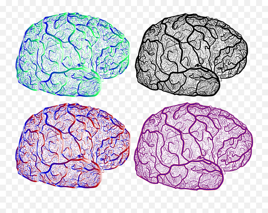Brain Art U2013 Layer Fmri Blog - Brain Emoji,The Area Of The Brain Where Your Emotions Live