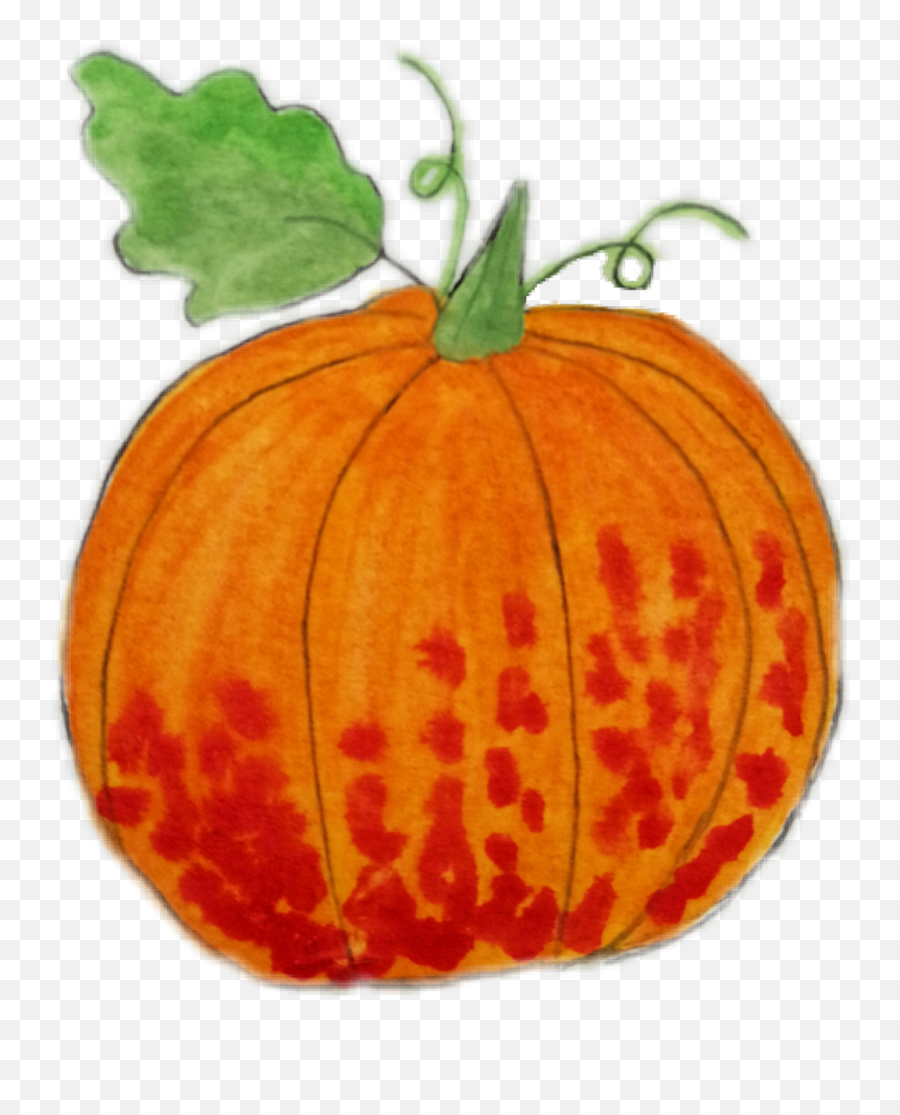 Download Pumpkin Halloween Autumn Vegetables Vege - Pumpkin Superfood Emoji,Emoji Vegetables