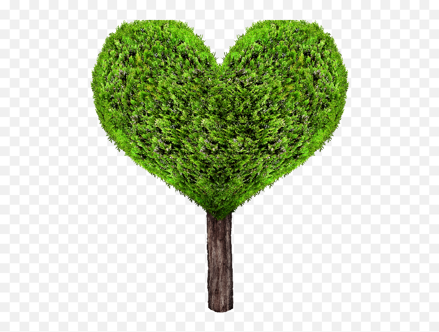 Christmass Tree Textures For Photoshop - Green Heart Tree Png Emoji,Dead Tree Emoji