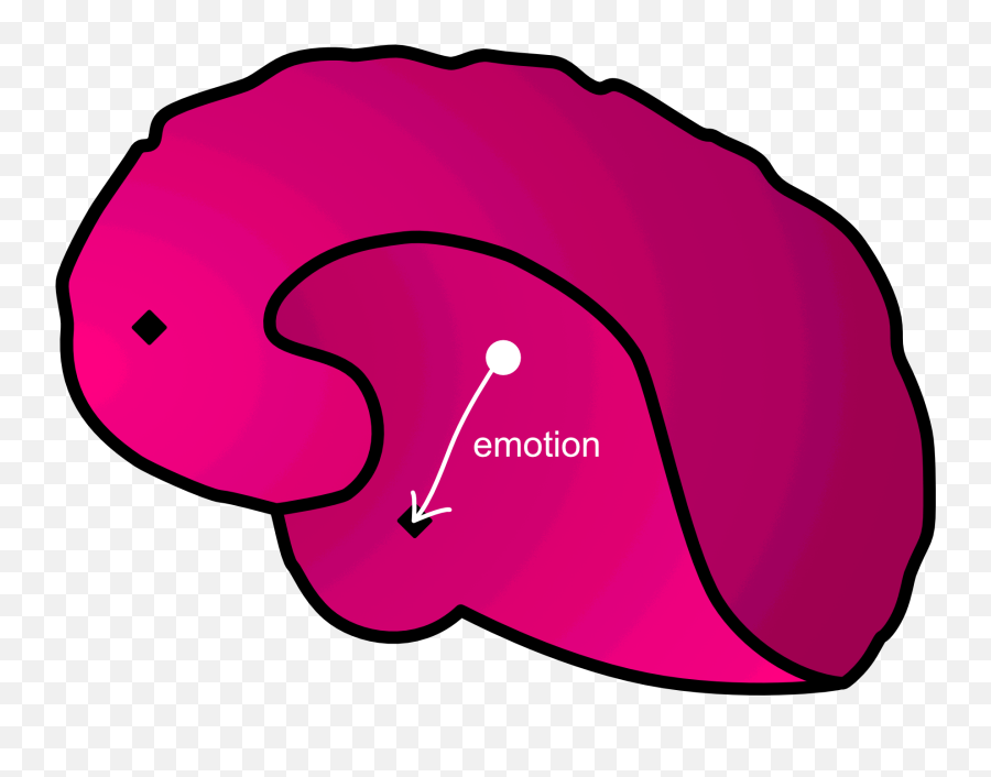 Debugging Your Brain Part 1 Modeling - Language Emoji,Emotion Brain