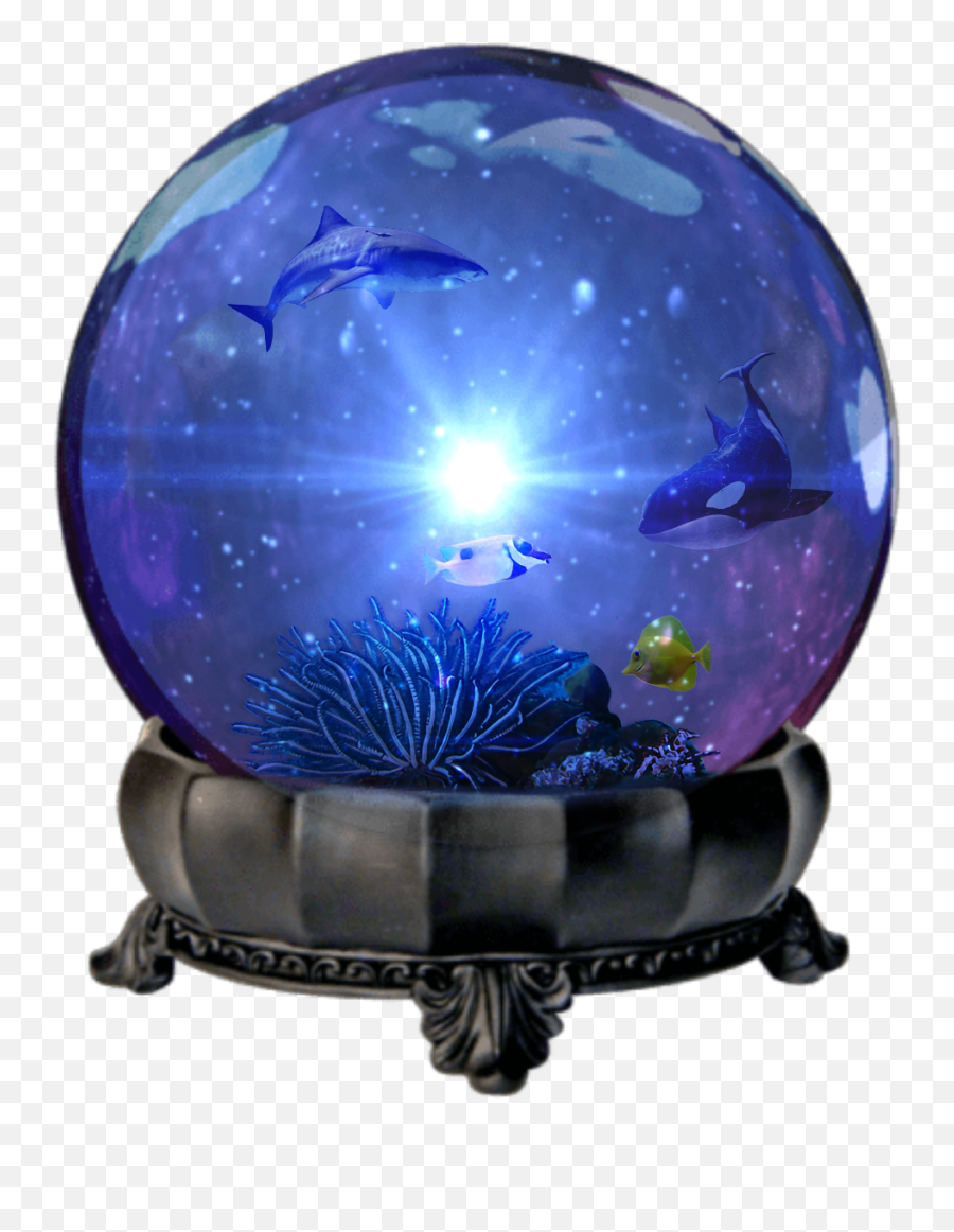 Crytalball Crystal Ball Shark Sticker - Magic Crystal Ball Transparent Emoji,Crystal Ball Emoji Transparent