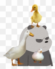The Most Edited - Soft Emoji,Stupid Duck Emoji
