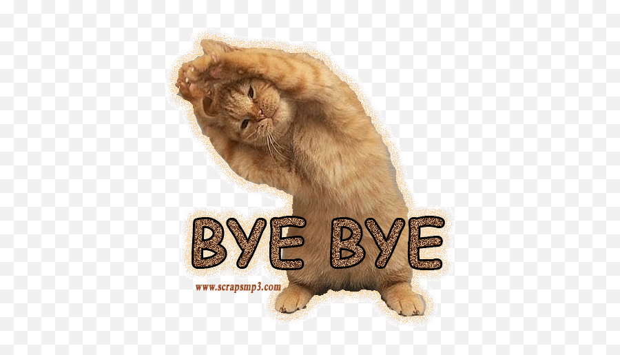 Top Cats Bye Stickers For Android U0026 Ios Gfycat - Bye Bye Cat Gif Emoji,Cat Emoji Gif