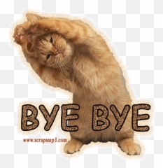Top Cats Bye Stickers For Android U0026 Ios Gfycat - Bye Bye Cat Gif Emoji,Cat Emoji Gif