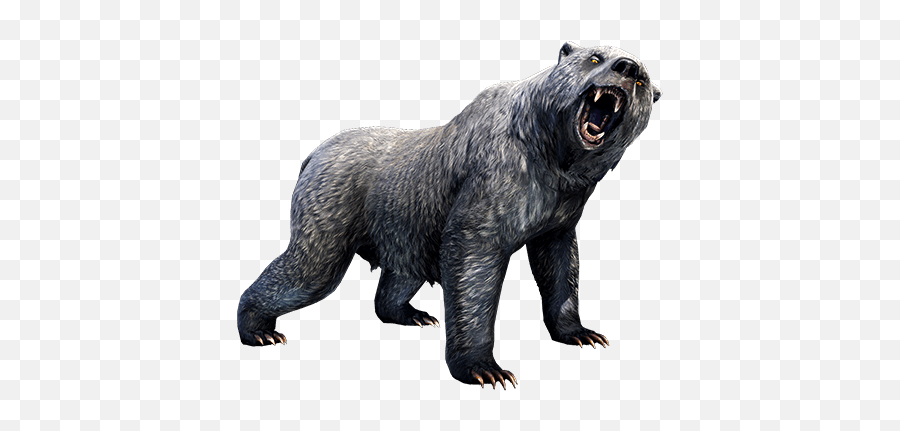 Morrowind - Eso Grey Bear Emoji,Eso, Conflicted Emotions