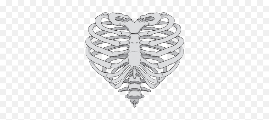 Brustkorb Skelett Grau Heart It Heart Ribcage Png - 3439 Heart Rib Cage Drawing Emoji,Cage Emoji