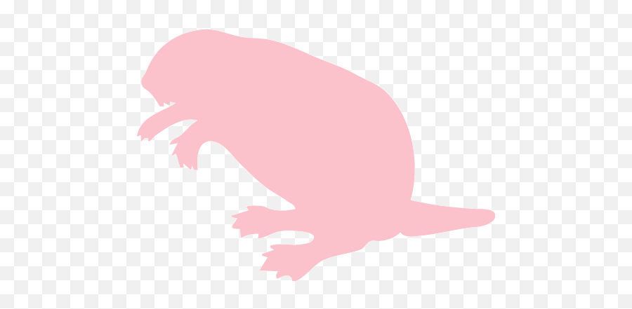 Pink Beaver Icon - Pink Beaver Emoji,Gray Beaver Emoticons