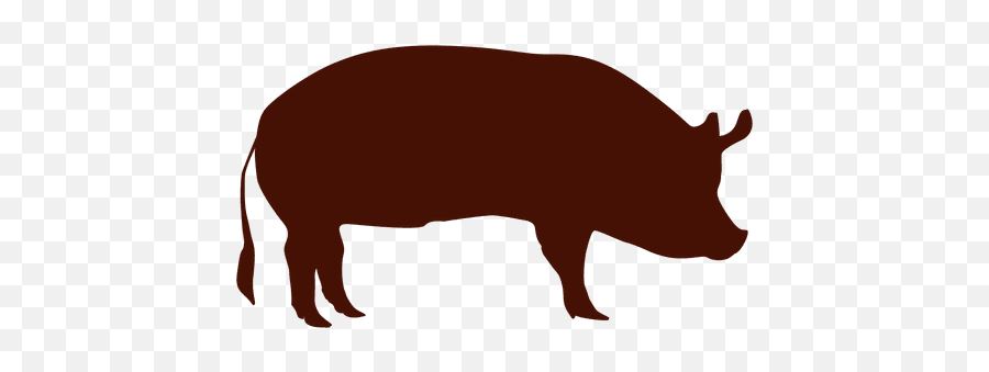 Pig - Vector Transparent Pig Png Emoji,Putto Emoticon