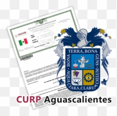Curp Aguascalientes - Aguascalientes Flag Emoji,Emoticon Del Nacimiento De Jesus