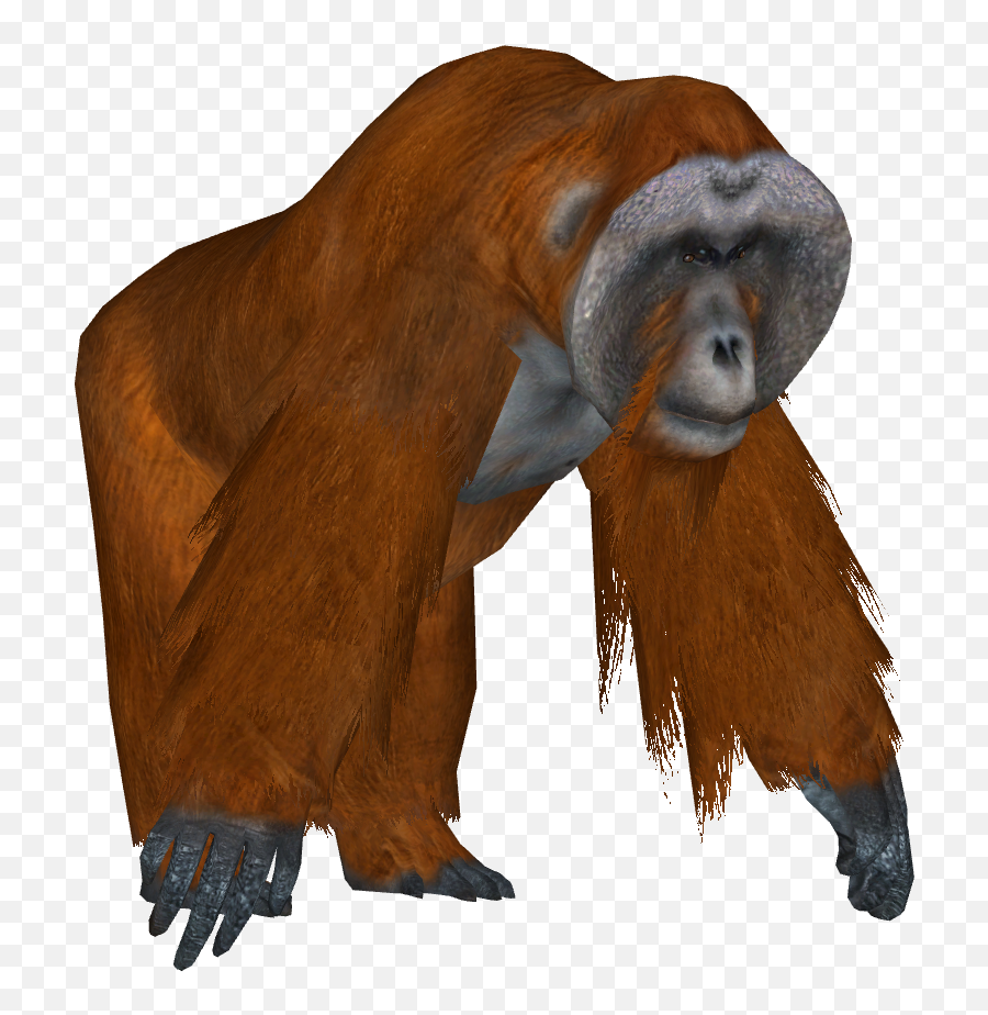 Countries Of The World Indonesia - Zoo Tycoon 2 Forumsclub Emoji,Orangutan Emoji