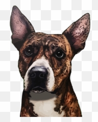 Dogs Eating Cake Llc Emoji,Dog Emoji Meme