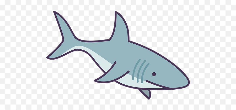 200 Free Shark U0026 Fish Illustrations - Pixabay Shark Animal Cartoon Emoji,Shark Fin Emoji