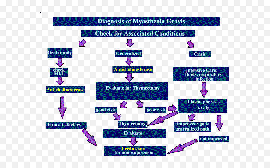 91 Myasthenia Gravis Ideas Myasthenia Gravis Autoimmune - Flow Chart Myasthenia Gravis Pathophysiology Emoji,Colitis Emoticon Of Fall Down Laughing