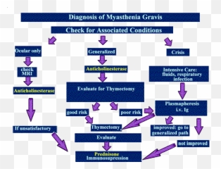 91 Myasthenia Gravis Ideas Myasthenia Gravis Autoimmune - Flow Chart Myasthenia Gravis Pathophysiology Emoji,Colitis Emoticon Of Fall Down Laughing